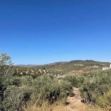 Lafrenchtouch - Escapada Rural En Una Coqueta Casa Villanueva de Tapia Eksteriør bilde