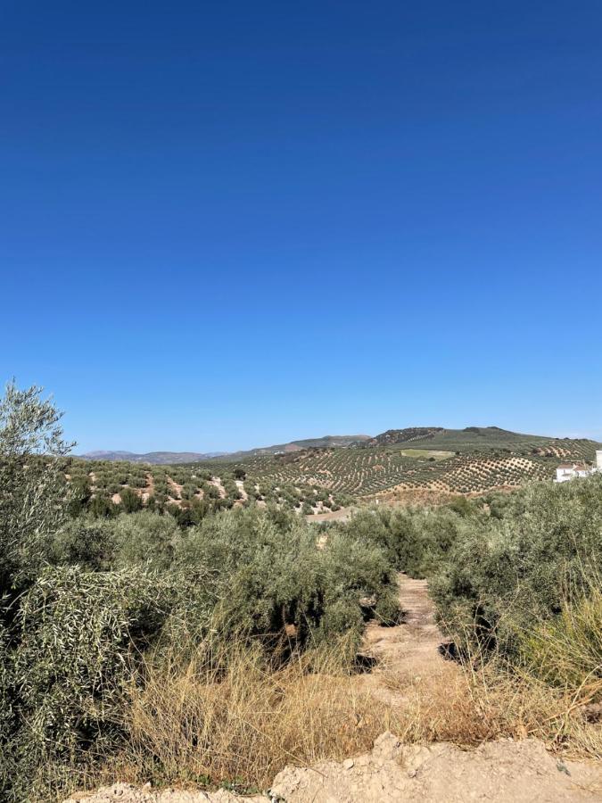 Lafrenchtouch - Escapada Rural En Una Coqueta Casa Villanueva de Tapia Eksteriør bilde